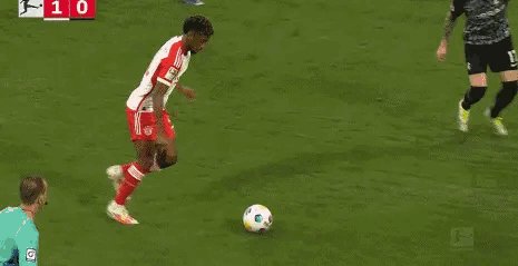 1696780365809009207.gif 科芒.gif