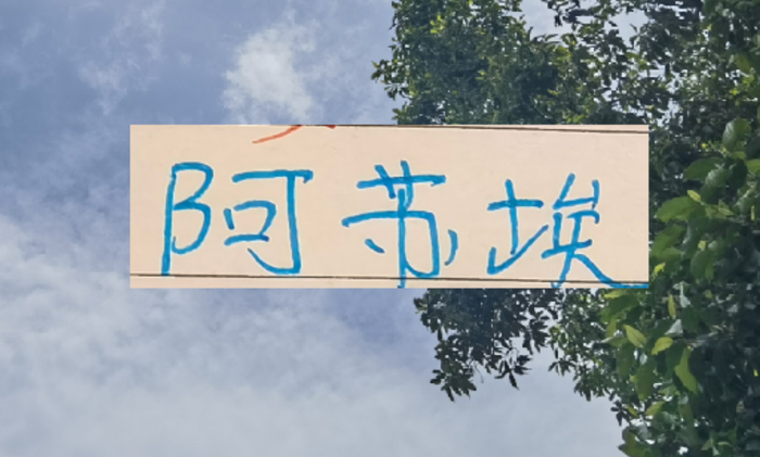 还差一个外援！到时候是阿苏埃出现 还是申花新的大鱼上岸？|上海申花|阿莱士-特谢拉-桑托斯|上海申花足球俱乐部|托尼·罗伯茨|马纳法_新浪体育_新浪新闻